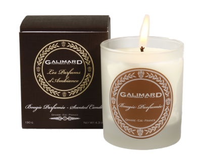 Galimard Bois and Tonga Candle | Parfums Raffy